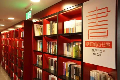 優秀檔次 朝陽區通過國家公共文化服務體系示范區創新發展復核