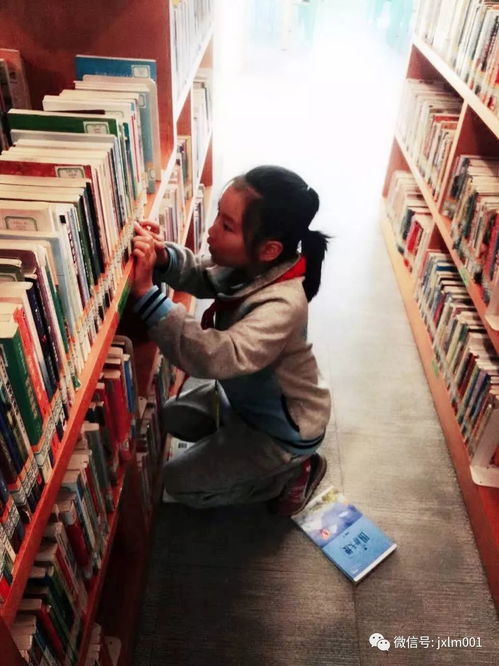 做一個快樂的讀書人,我是小小圖書管理員 記杭州市建新小學三1中隊七色花小隊活動